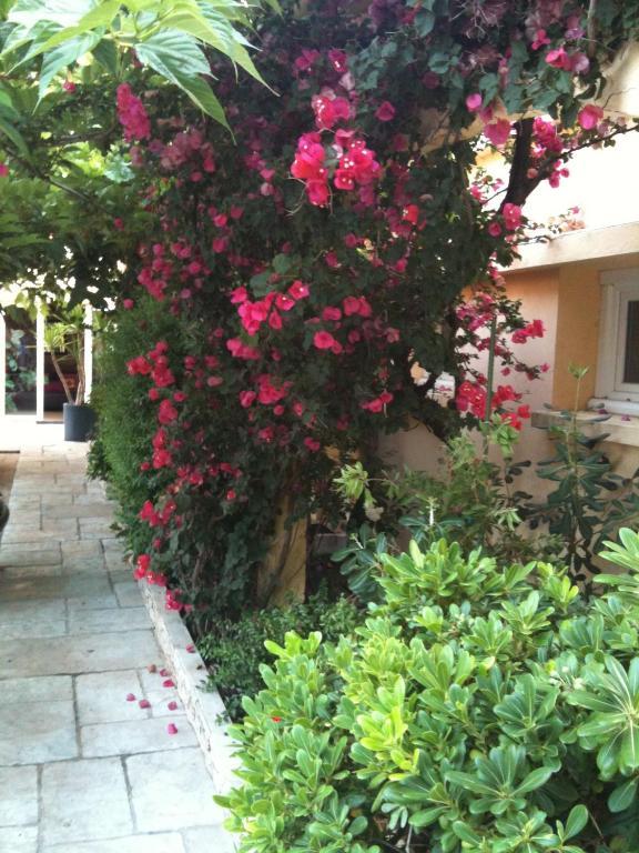 Hotel-Motel Agosta Plage Портисьо Экстерьер фото